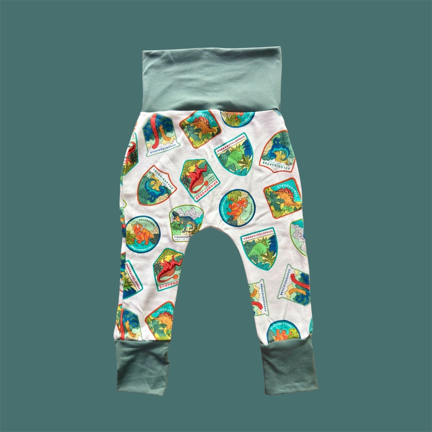 Dinosaur Patches Grow with Me Pants