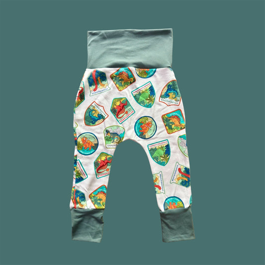 Dinosaur Patches Grow with Me Pants