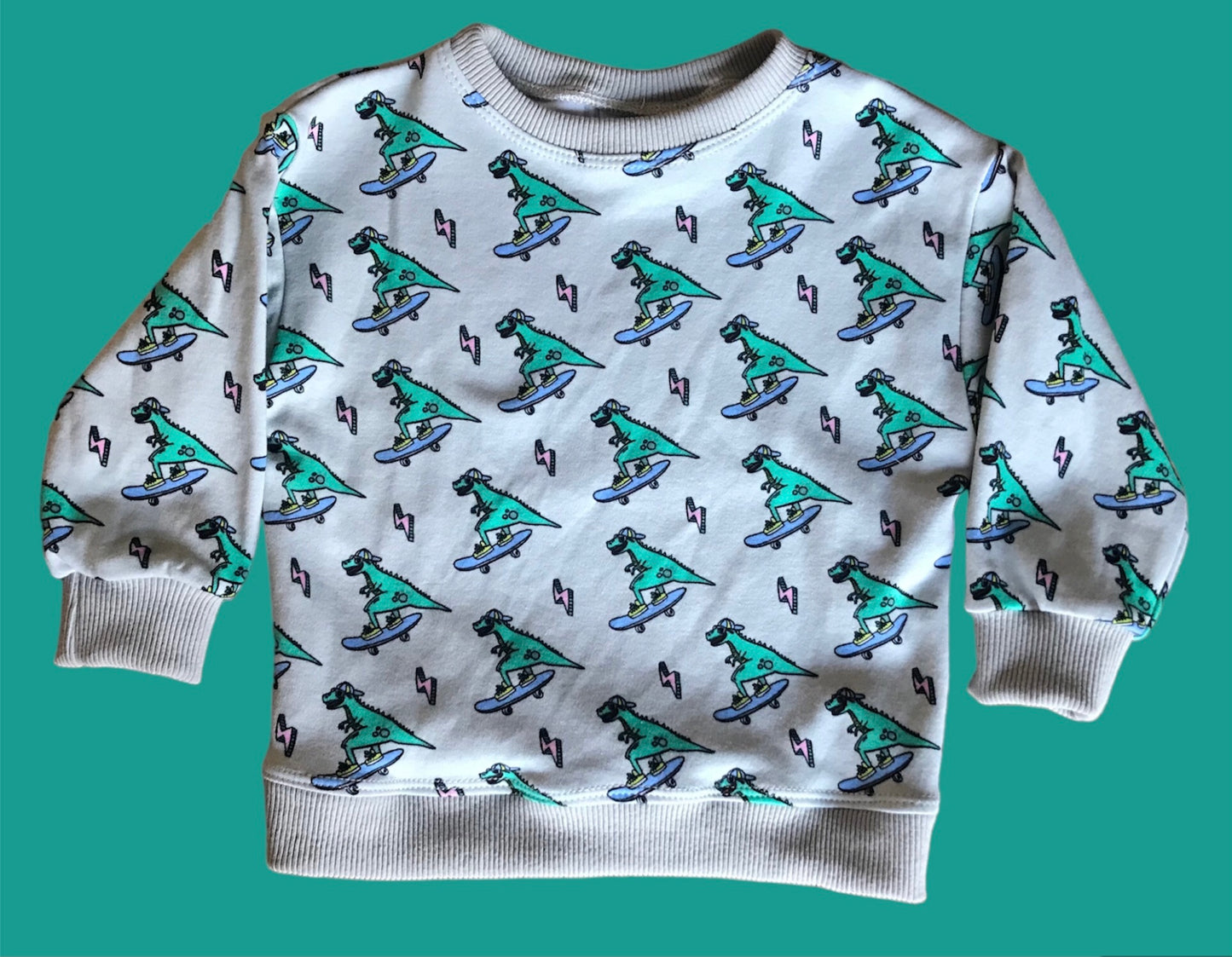 Skating Dinosaur Sweatshirt